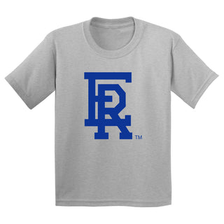 Embry-Riddle Aeronautical University Eagles Daytona Primary Logo Youth T Shirt - Sport Grey