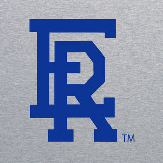 Embry-Riddle Aeronautical University Eagles Daytona Primary Logo Youth T Shirt - Sport Grey