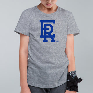 Embry-Riddle Aeronautical University Eagles Daytona Primary Logo Youth T Shirt - Sport Grey