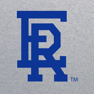 Embry-Riddle Aeronautical University Eagles Daytona Primary Logo T Shirt - Sport Grey