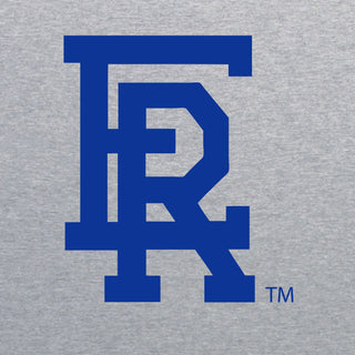 Embry-Riddle Aeronautical University Eagles Daytona Primary Logo Long Sleeve T Shirt - Sport Grey
