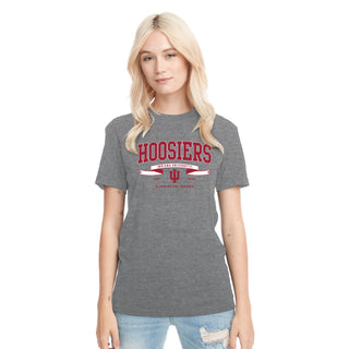 Indiana Ribbon Flight NLA Triblend T-Shirt - Premium Heather