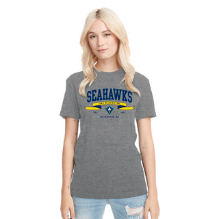 UNC Wilmington Ribbon Flight NLA Triblend T-Shirt - Premium Heather