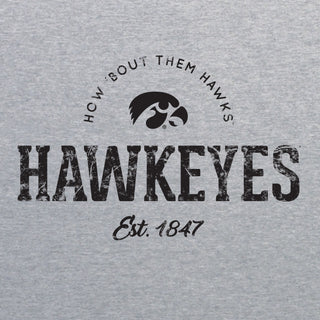 University of Iowa Hawkeyes Established Arch Short Sleeves T Shirt - Sport Grey
