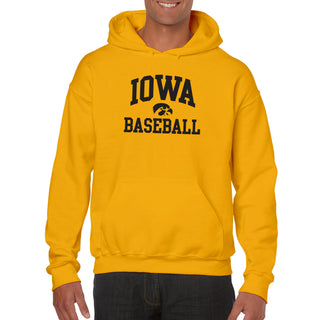 University Of Iowa Hawkeyes Arch Logo Baseball Hoodie - Gold