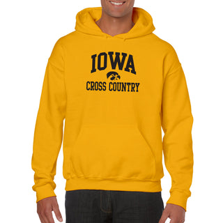 University of Iowa Hawkeyes Arch Logo Volleyball Hoodie - Gold