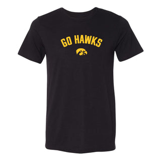 Iowa Go Hawks Arc Canvas Triblend T-Shirt