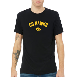 Iowa Go Hawks Arc Canvas Triblend T-Shirt