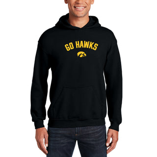 Iowa Go Hawks Arc JA BTB Fleece Hoodie - Black