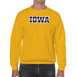 University of Iowa Hawkeyes Patriotic Wordmark, Team Color Crewneck
