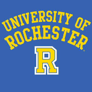 University of Rochester Yellowjackets Arch Logo Heavy Blend Hoodie - Royal