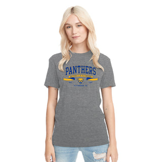 Pittsburgh Ribbon Flight NLA Triblend T-Shirt - Premium Heather