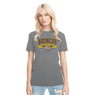 Western Michigan Ribbon Flight NLA Triblend T-Shirt - Premium Heather